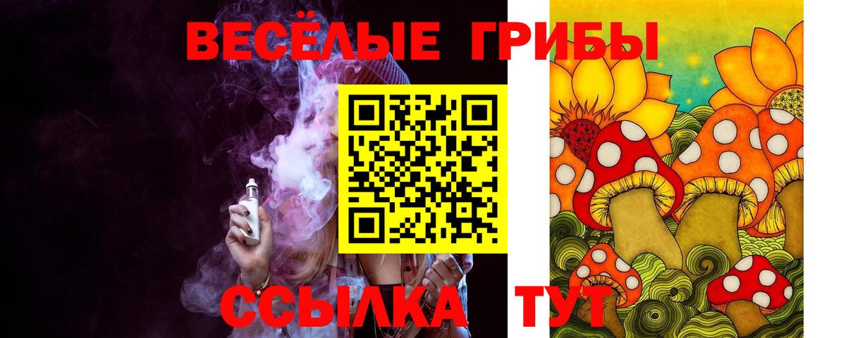 Тимашёвск  Галлюциногенные грибы GOLDEN TEACHER  Вход с VPN 